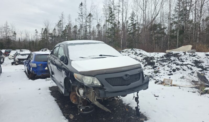 
								2010 Toyota Corolla full									