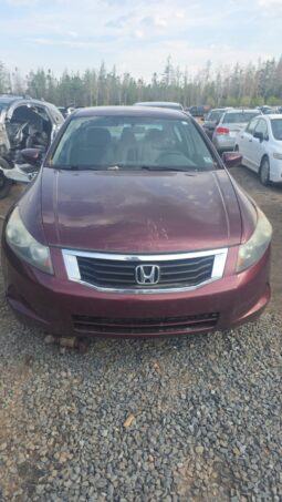 2009 Honda Accord UNKNOWN FWD Sedan