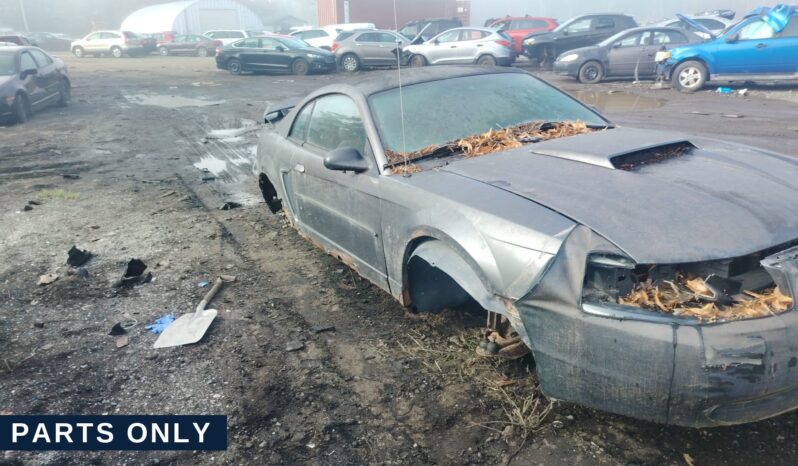 
								2003 FORD Mustang COUPE full									