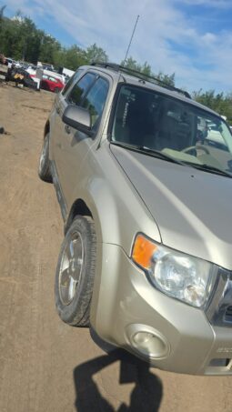 2010 Ford Escape SUV